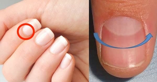 cosas que no sabias como se llaman