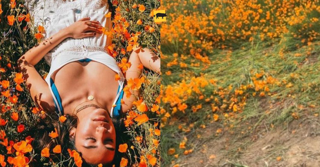 Instagram vs Realidad: Así nos engañan los «influencers» de moda