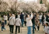 Almendros en flor 2026: los parques que se llenan primero y cómo evitar las multitudes Aglomeración de gente para ver los Almendros en Flor