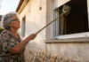 La abuela que echó a los okupas con un nido de avispas: la historia que está petando en redes abuela sujetando un nido de avispas en su casa para echar a los okupas