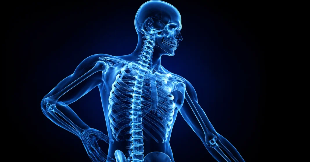 Cuántos huesos tiene el cuerpo humano: 300, 206, 208 o 213, las cuatro respuestas que existen Imagen radiográfica de cuántos huesos tiene el cuerpo humano