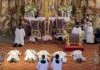 4 obispos, 15.000 personas y vino souvenir: el cisma lefebvriano explicado para quien no sabe qué es un cisma (ni lefebvrianos) lefebvrianos
