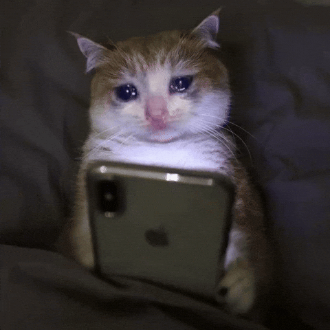 gato triste mirando el móvil