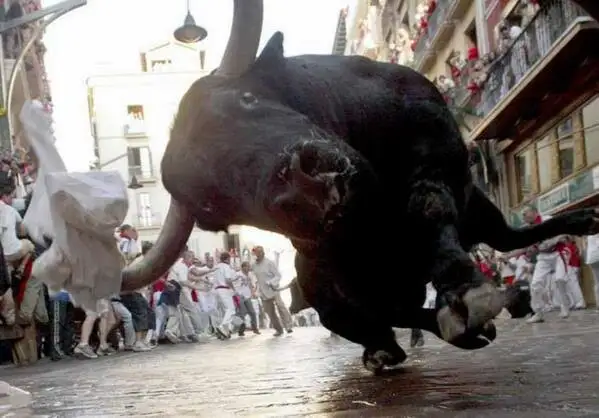 Imagen de un toro en los encierros de san fermín 2025